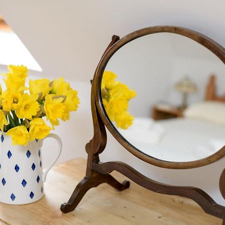 Luccombe Farm Holiday Cottages Milton Abbas Экстерьер фото