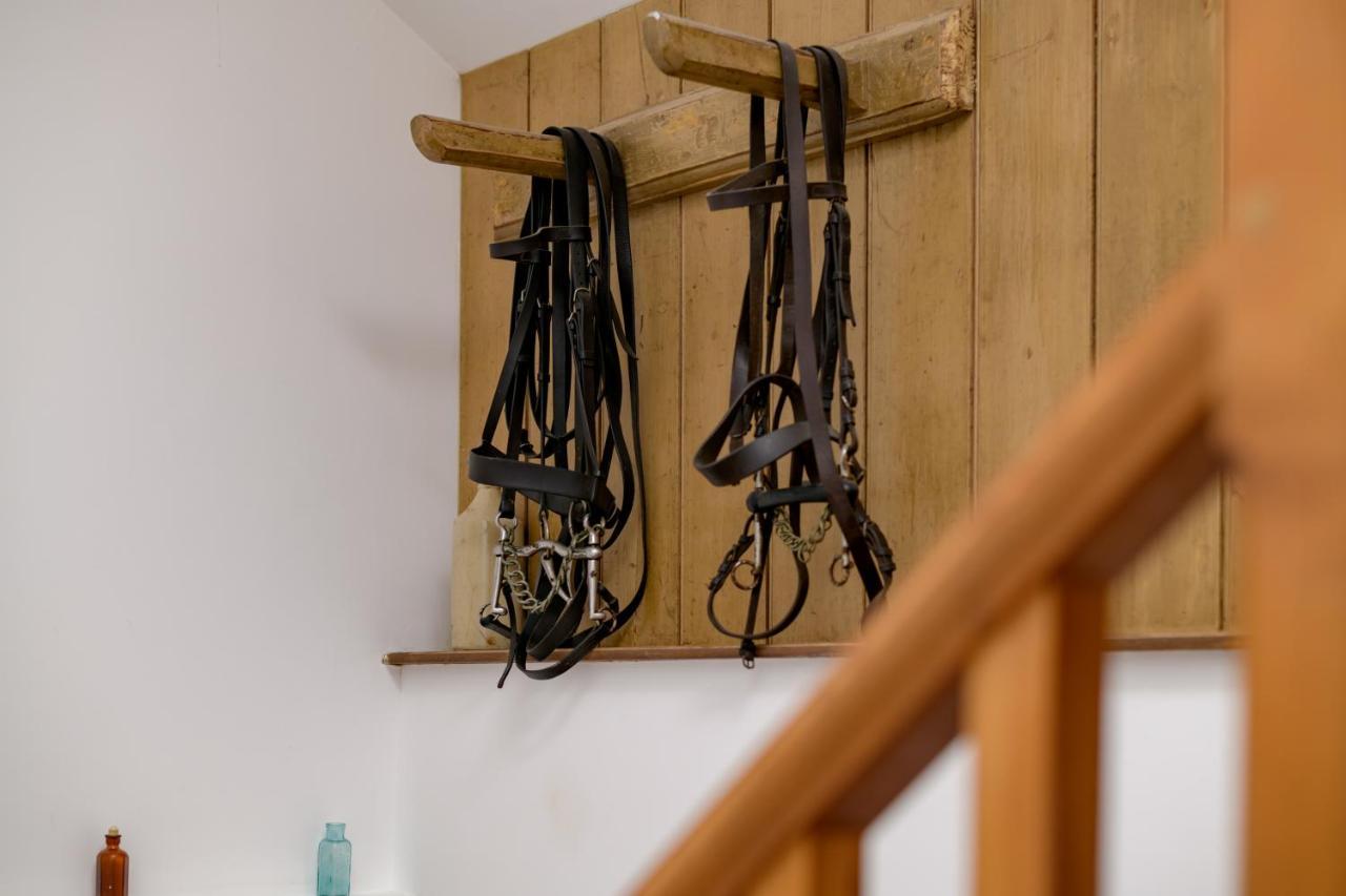 Luccombe Farm Holiday Cottages Milton Abbas Экстерьер фото