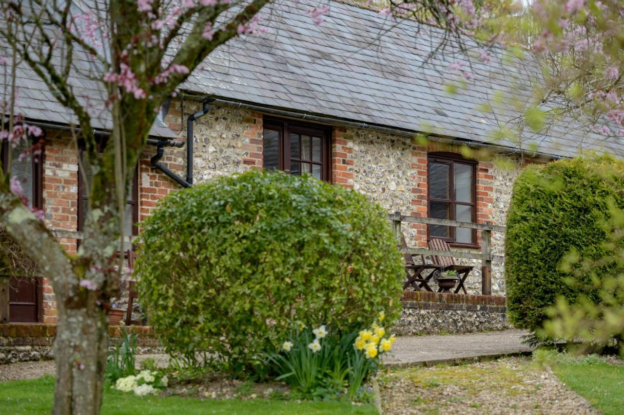Luccombe Farm Holiday Cottages Milton Abbas Экстерьер фото