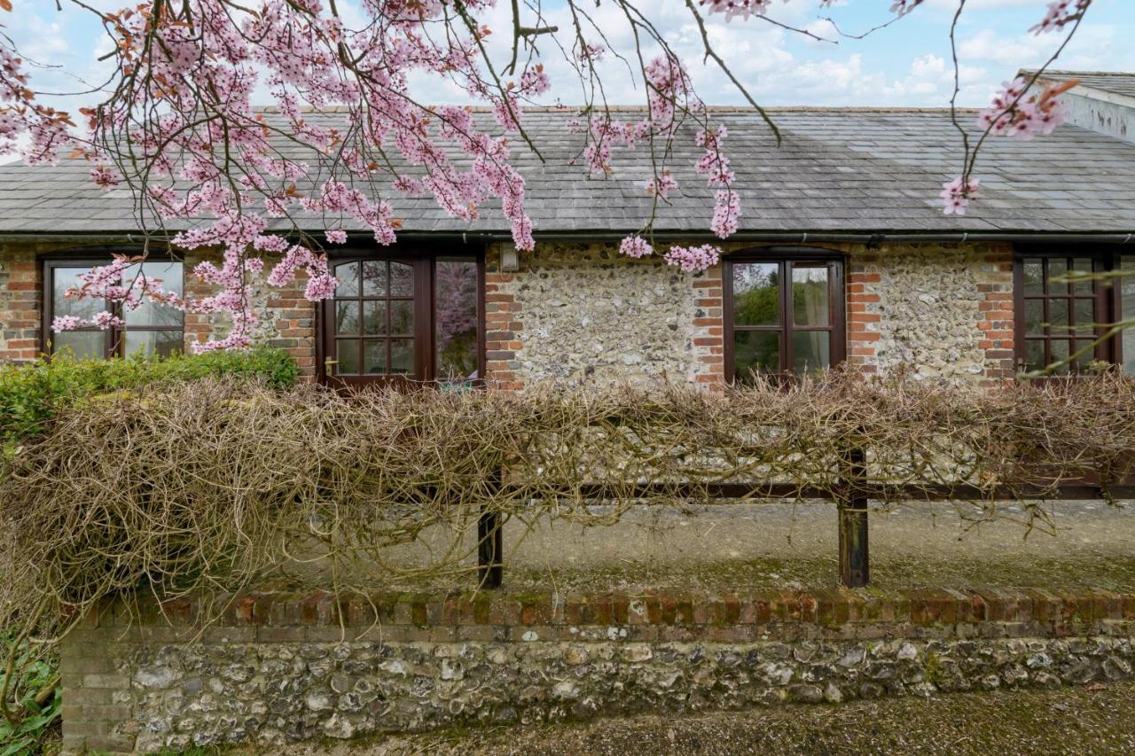 Luccombe Farm Holiday Cottages Milton Abbas Экстерьер фото